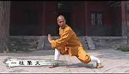 Shaolin Kung Fu Combat Styles: 17. emperor's long-range form (太祖长拳: taizu chang quan)