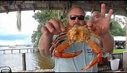 Charbroiled blue crabs caught at a crystal clear Florida spring! Catch, clean, cook