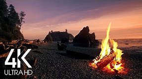 (8 Hours) 4K Campfire On Beach - Crackling Fire with Ocean Waves Sounds