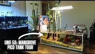 UNS 5S Mangrove Pico Tour