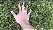 Tutorial how to touch grass
