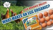 Organic Eggs | Ask Organic Valley