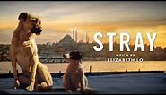 Stray - Official Trailer