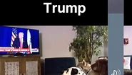 Even the dogs listen to Trump!! #dogs #sit #listen #DJT #fypシ #votetrump #hahahaha #lovethis