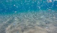 Kos, Paradise Beach, bubbles