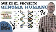 Qué es el proyecto genoma humano