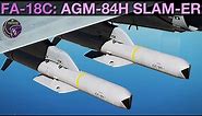 FA-18C Hornet: AGM-84H SLAM-ER (PP/TOO)(Single/Ripple) Tutorial | DCS WORLD