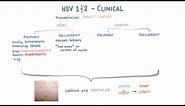 HSV - Clinical Presentation - Part 1