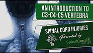 C3 C4 C5 Definitions. Cervical Spinal Cord Injury Symptoms, Causes, Treatments, and Recovery.