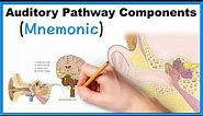 Auditory Pathway Components (Mnemonic)