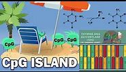 CpG ISLANDS - Promoters, Link to Cancer, X-Chromosome Inactivation