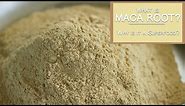 What is Maca Root and Why is It a Superfood?