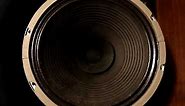 Vintage 12" Rola speaker