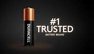 Duracell Coppertop Alkaline AA Batteries (24-Pack), Double A Batteries 004133300057