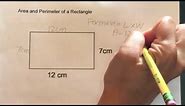 How to find the Area and Perimeter of a Rectangle