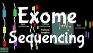 Exome Sequencing | Whole Exome Sequencing | WES | Whole Exome Sequencing Analysis |