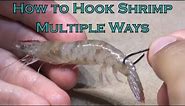 How to Hook Shrimp Multiple Ways