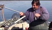 Bill Fetzer and clam rake