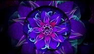 Abstract Flower Background Loop - Animation Videos | No Copyright.