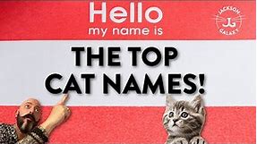 Top 10 Popular Cat Names!