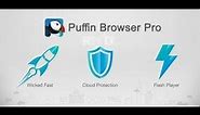 Puffin Browser Pro 7.8.3.40913 Apk Latest Version 2019