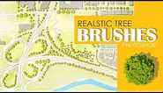 Realistic Photoshop Tree Brushes | Make Tree Brushes in Photoshop | Master Plan & Landscape Render