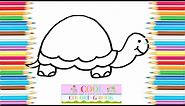 Turtle Coloring Pages - Animal Coloring Page