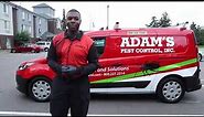 A Day in the Life of a Pest Control Technician