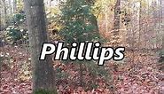Phillips as Family Name Meaning and Origin