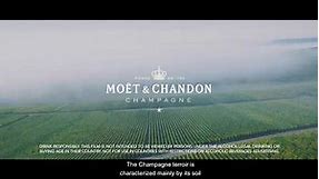 Winemaking & Savoir-Faire - 2'20 - Moët & Chandon