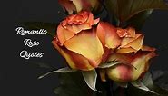 35 Romantic Rose Quotes and Sayings to Show You Care