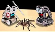 WHAT IF THE COZMO AND ANKI VECTOR ROBOT SEE A HUGE SPIDER? TWO ARTIFICIAL INTELLIGENCE VS SPIDER