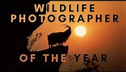Best Wildlife Photos - Photographer of the Year