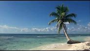 Relaxing 3 Hour Video of A Tropical Beach with Blue Sky White Sand and Palm Tree