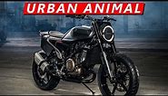 TOP 10 Greatest Urban Motorcycles You Can Buy!