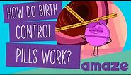 How Do Birth Control Pills Work?