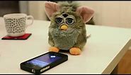 Siri VS Furby