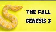 The Fall of Adam and Eve | A Study of Genesis 3