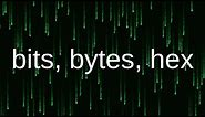 Bits, Bytes and Hex