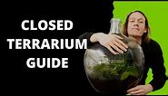 How To Make And Care For A Closed Terrarium