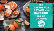Fresh Things: The Difference Between a Mandarin and an Orange