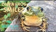 Can a Frog Smile?