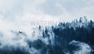 7 Best Ideas on How to Make a Watermark Effectively | Fotor
