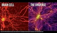 Scientists Find Evidence That The Universe Is A 'GIANT BRAIN''