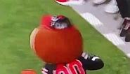 Look!: Ohio State’s Brutus Buckeye mascot gets trucked!