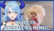 Unexpected Memes ~ Milky