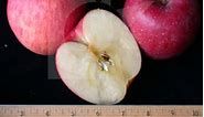 Aomori Apples (Japanese Fuji) | FreshPoint