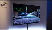 Panasonic's 56 inch 4K OLED TV @ CES 2013