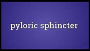 Pyloric sphincter Meaning