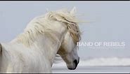 Band of Rebels: White Horses of Camargue